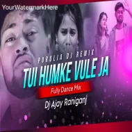 Tui Hamke Vule Jaa Pagla Jonomer Moton Ht Purulia Dance Mix Dj Ajay Raniganj