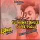 Tui Hamke Bhule Ja Re Pagla Jonomer Moton ( Humming Blast Mix ) Dj Aryan Dhanbad