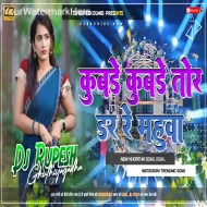 Kubde Kubade Tor Dar Re Mahuwa Robot Bass Mix Tapori Dance Dj Rupesh